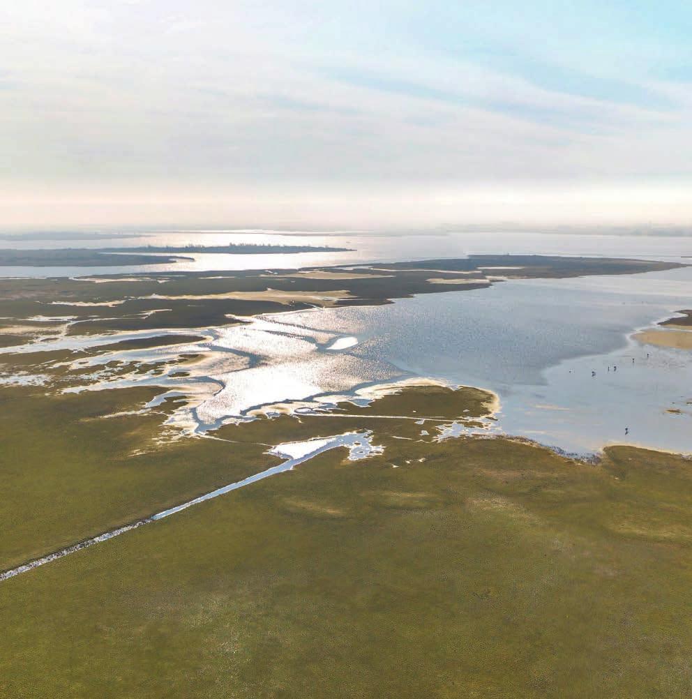 Het Lauwersmeergebied heeft zich ontwikkeld tot een groot aaneengesloten topnatuurgebied van internationale allure.