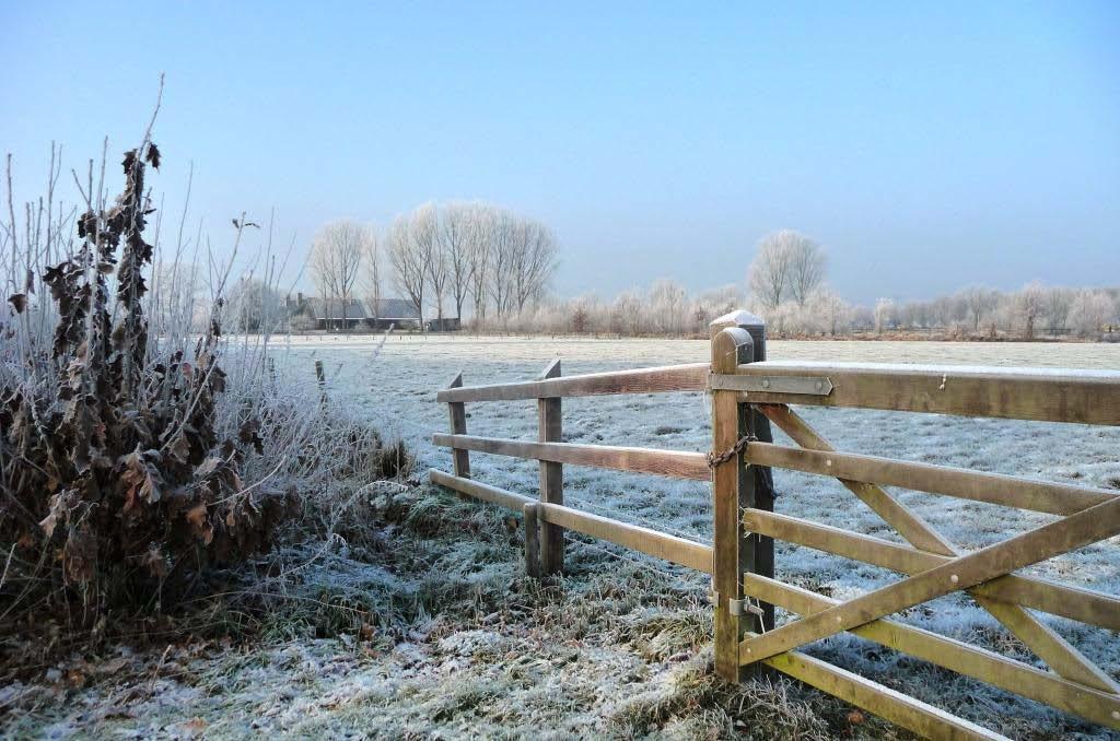 Voor het eerst in 12 jaar kon er ook weer op natuurijs geschaatst worden.