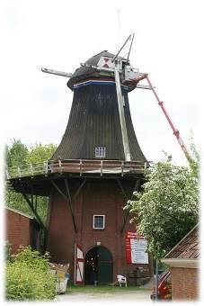 Herstel molenbiotoop De Zwaluw Zuurdijk: een pilotproject In september start een project rond de biotoop van molen De Zwaluw in Zuurdijk.