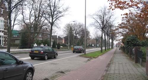 Laanbeplanting aan de Venloseweg Oorspronkelijke laanbeplanting verdwenen op Grotestraat G.