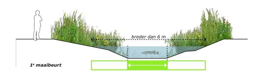 3.5 Lichtgroen (overige watergang > 6 meter) Beeld op 15 juli In het groeiseizoen (april tot september) is het nat profiel deels begroeid met water- en oeverplanten.