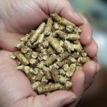 Ketels die naast pellets ook met houtbriketten, houtsnippers, of stukhout gevoed kunnen worden, worden