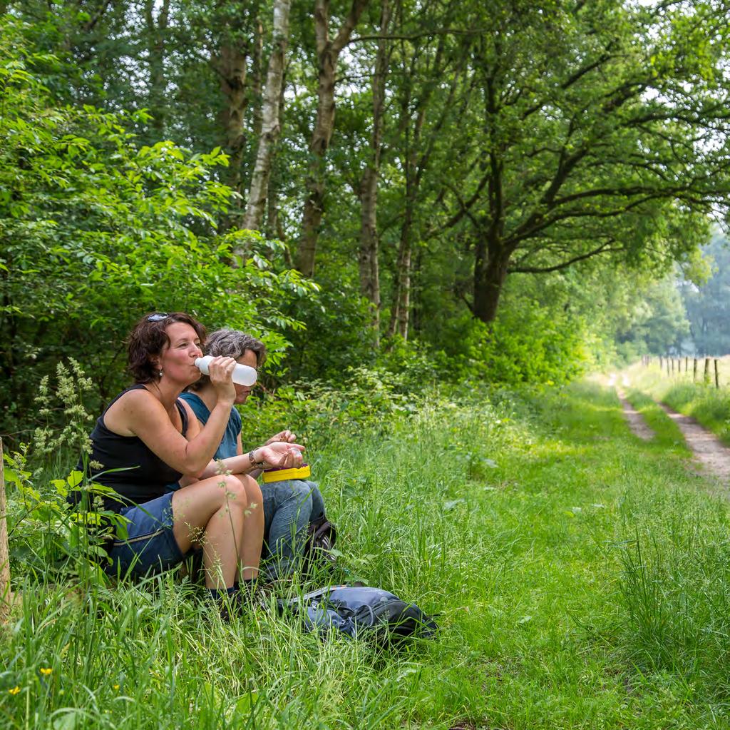 Nationaal beek- en esdorpenlandschap Drentsche Aa WANDELROUTE