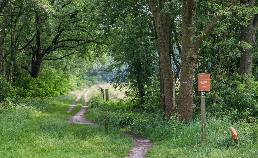 Wandelroute Andersche Diep Het Andersche diep meandert als laaglandbeek al eeuwenlang door het oeroude beekdal. Het vrij brede beekdal grenst aan de bossen van boswachterij Gieten.