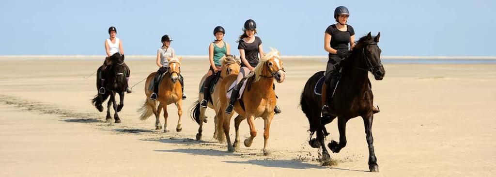 VIER PITTORESKE DORPJES Ameland bestaat uit vier pittoreske dorpjes: Nes, Buren, Hollum en Ballum.