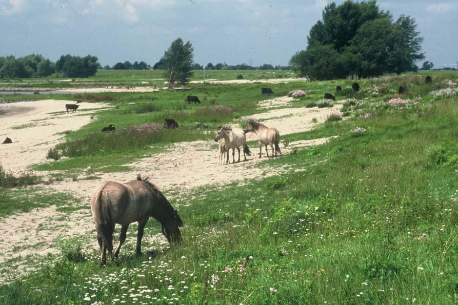 processen moeilijk te ontwarren