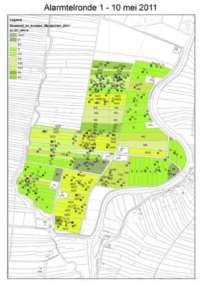 Op 10 mei, 24 mei en 15 juni 2011 zijn gruttoalarmtellingen uitgevoerd in de Maatpolder. Daarbij wordt onderzocht hoeveel paren met jongen aanwezig zijn en waar deze zich ophouden.