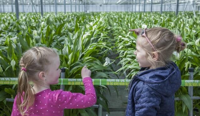 Dia 17 Maak een lijstje met een groen netwerk: Website boerderij educatie (zuivelboerderij, boomgaard, geitenboerderij, schapenhouder, kippenboer) Groen Cement Zorgboerderijen en boerderijen Loeren