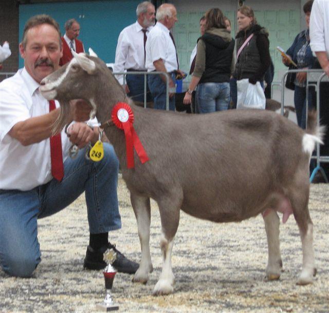 Hans Half met zijn Toggenburger geiten Het voorstel is aangenomen om een certificaat Modelgeit/bok in te stellen voor geiten en bokken die zijn ingeschreven in het stamboek met een algemeen voorkomen