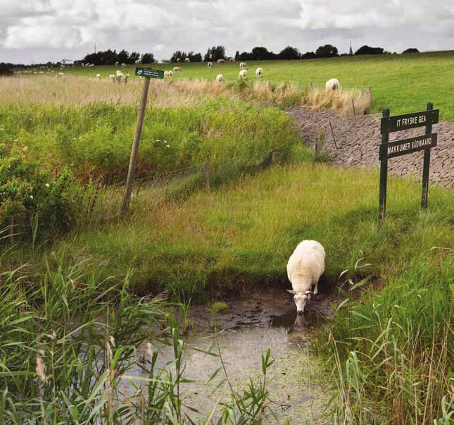 Natuurontwikkeling Piaam THEO BOS van het culturele erfgoed in Nederland (Rli & RvC 2017).