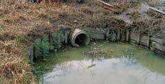 Gevolgen middelen in water Vervuiling probleem voor