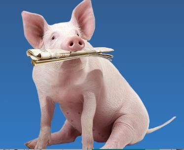 SAMENVATTING MEER BIGGEN = MEER WERK Taak van de varkenshouder moet meer gericht zijn op extra zorg in de kraamstal Pig333.com Maatregelen om sterfte te verminderen: I.