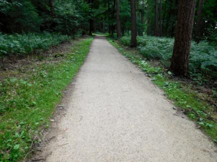 50. Het pad door het bos heeft een bijzonder hoge belevenis waarde.