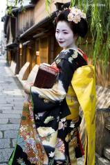 We beginnen onze wandeling bij de Kiyomizudera-tempel, die meer dan 1000 jaar oud is. In tegenstelling tot het moderne gedeelte van Kyoto, vind je in Higashimaya nog typische straatjes o.a. Sannen-zaka met houten eethuizen, winkeltjes, enz Iets verderop vinden we Gion, de traditionele geishabuurt.