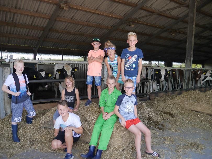 Nieuws uit groep 5 en 6: Uitje naar de boerderij van familie Guichelaar.