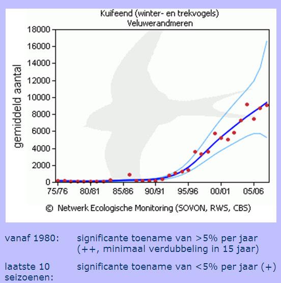 Figuur 6: Trend Kuifeend (nb) in Veluwerandmeren (let op de afwijkende waarden op de y-as ten opzichte van de y-as in de afbeelding hierboven)(www.sovon.nl).