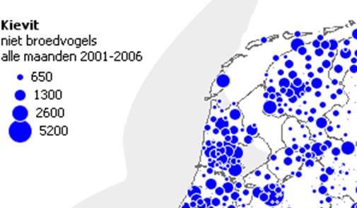 Het gemiddelde in de periode 2004-2008 bedraagt 223 vogels. Hiermee wordt het instandhoudingsdoel niet gehaald. Grutto s gebruiken het gebied om te foerageren en om te slapen.