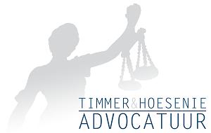 Algemene Voorwaarden Artikel 1. Definities In deze voorwaarden wordt verstaan onder: Timmer & Hoesenie Advocatuur: een samenwerkingsverband van de zelfstandig werkende advocaten mr. L.A.E.