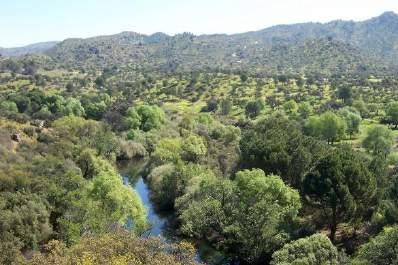 uitgestrekte natuurlijke vegetatie in de Sierra Morena en tal