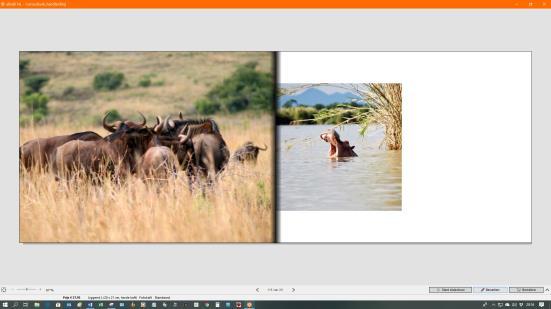 Dat kan heel snel via het pijltje naar links, in de bovenste balk op uw scherm. Het plaatsen van de laatste foto is ongedaan gemaakt. Wilt u bij nader inzien de foto toch laten staan?