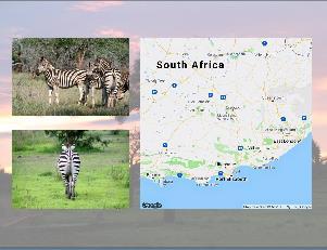 het Mount Zebra National Park. U vergroot de kaart net zolang tot u het park in beeld krijgt.