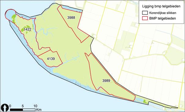 Broedvogels van de Korendijkse Slikken in 2016 Figuur 2. Ligging BMP-proefvlakken op de Korendijkse Slikken. hoogstwaarschijnlijk net na 2006 ingezet.