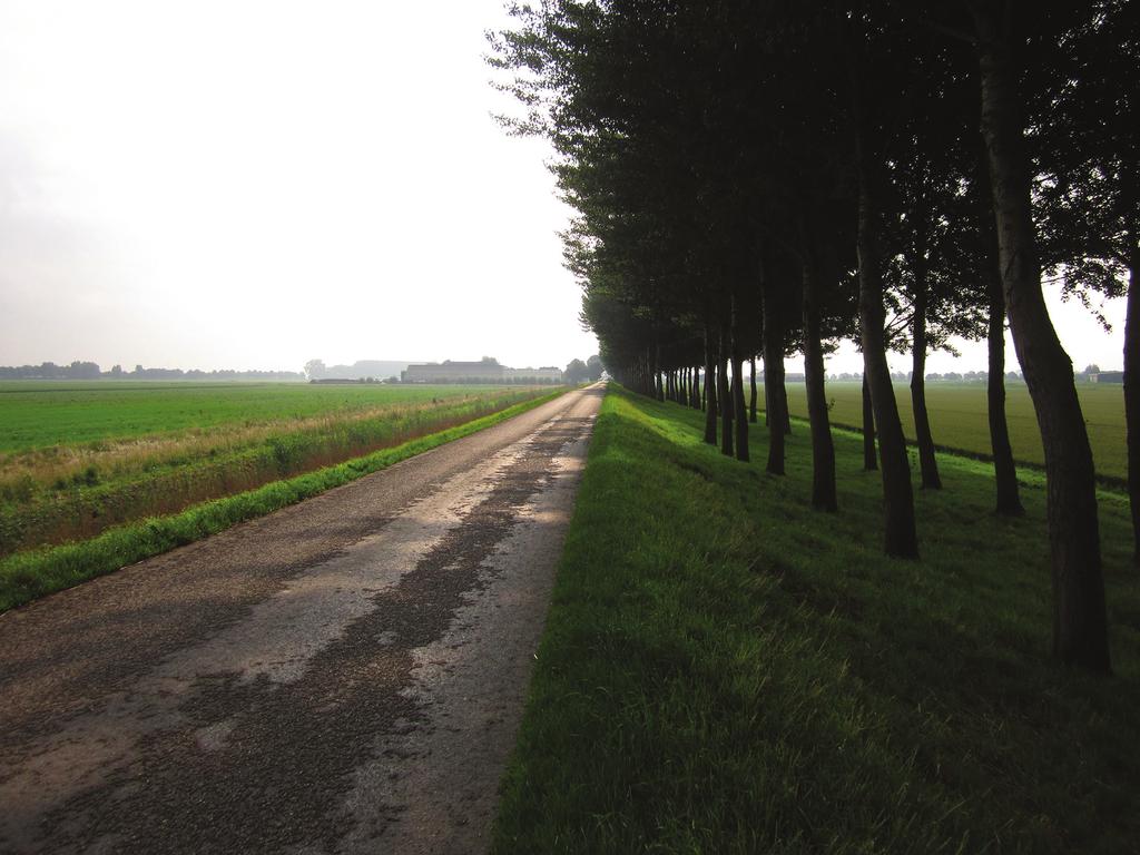 Sovon-rapport 2016/45 Samenvatting In 2016 zijn op verzoek van Vereniging Natuurmonumenten de Korendijkse Slikken (466 hectare) onderzocht op broedvogels.