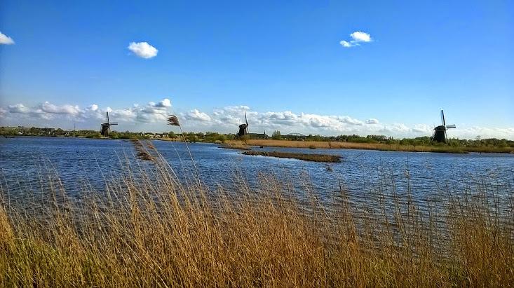 Hoge Boezem van de Overwaard Toelichting inrichting Luwtestructuur / HBO-plas