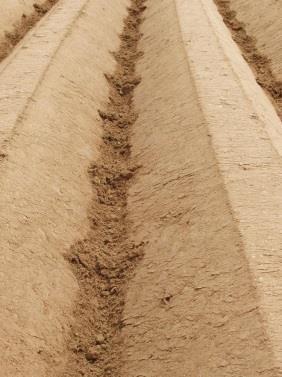 Niet-kerende bodembewerking groenbedekkers drempeltjes Indien de erosieproblematiek groter is kunnen ook kleinschalige erosiebestrijdingsmaatregelen aan de rand van het