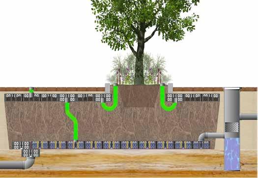 zorgt er voor dat de bomen onder een gesloten verharding toch een groeiplaats hebben die voldoet aan de groei