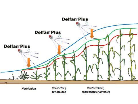 Delfan Plus Delfan Plus voorkomt groeistagnatie bij stressmomenten.