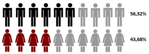 MANNEN NOG STEEDS IN DE MEERDERHEID In 2014 zijn de mannen nog steeds in de meerderheid tegenover hun vrouwelijke collega s: 56,32% tegenover 43,68% (ofwel 161.081 mannen tegenover 124.935 vrouwen).