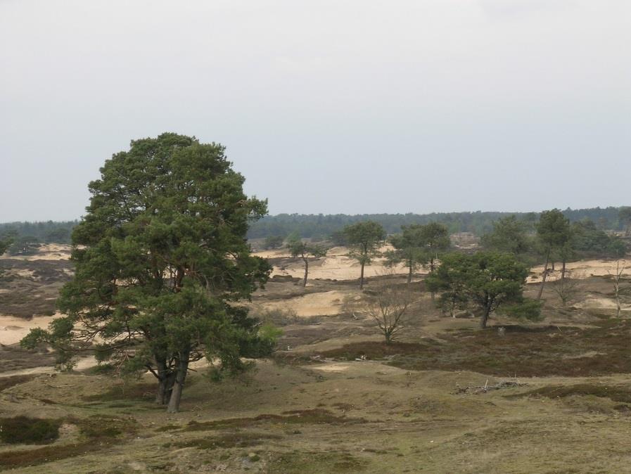 Ontwikkelingen bij bronnen Vermindering