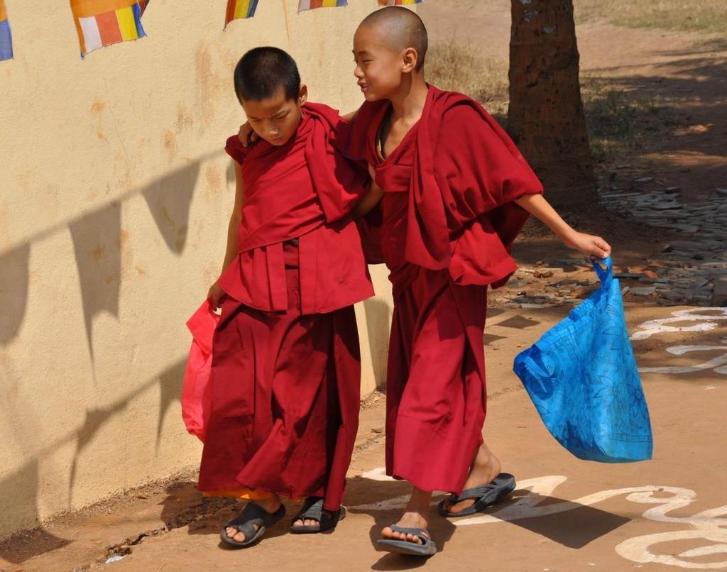 Stichting Dhonden Nieuwsbrief nr. 11 2016 Stichting Dhonden verleent praktische steun aan Tibetaanse vluchtelingen in India.