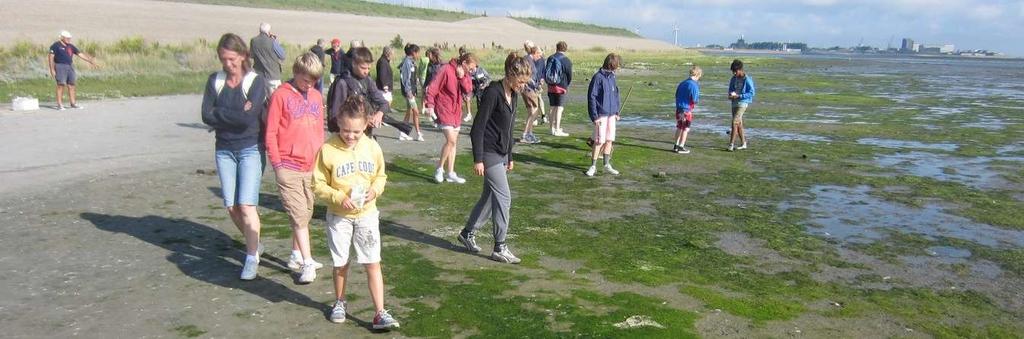 Doel werkateliers Goed beheer Waddenzee, informatie delen over aanpak Samen zicht krijgen op ecologische doelen