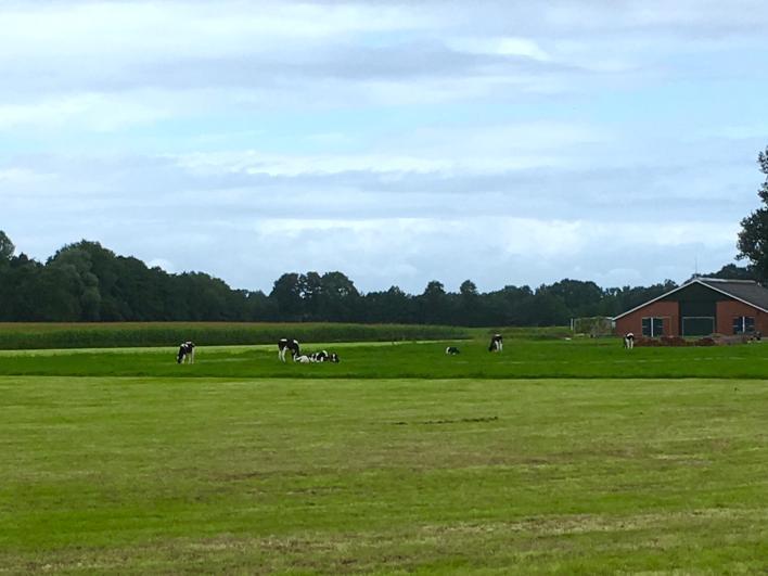 nl) 2 Boerenbedrijf Landbouw In deze typisch twentse agrarische omgeving zie je nog flink wat
