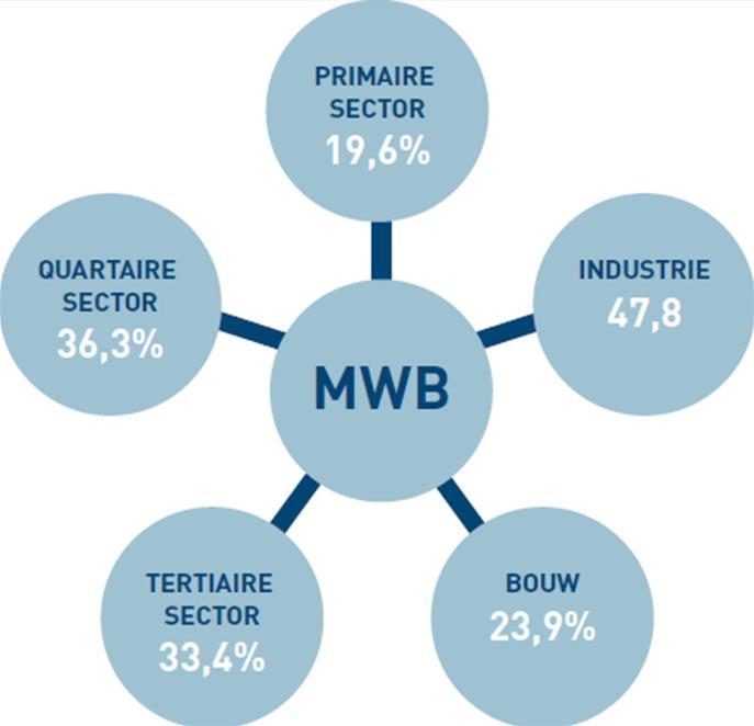 28 Bekijken we het aandeel van de cluster rond de maatwerkbedrijven in de totale groep van West-Vlaamse ondernemingen met tien of meer werknemers (zie tabel 11 en figuur 10), dan zien we dat zij