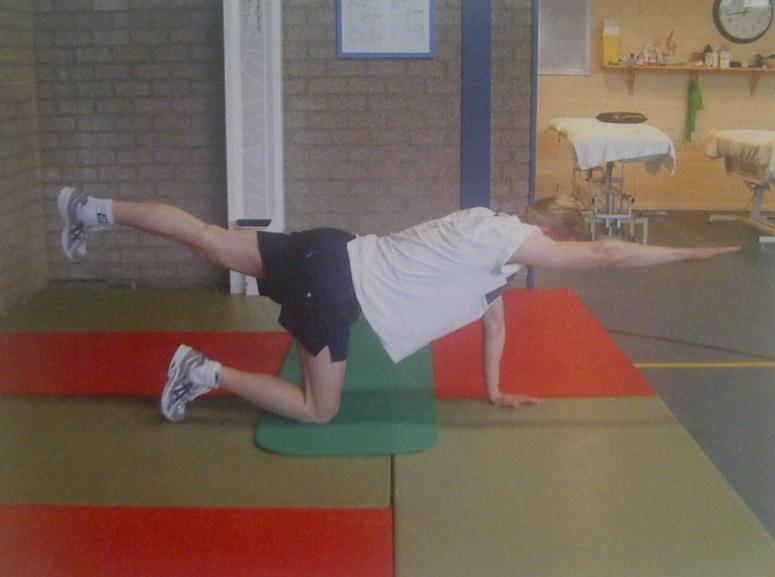 CONTRALATERAL SUPERMAN Rug Lage rug, Hamstrings, Buikspieren Aantal herhalingen: 5 20 Aantal seconden