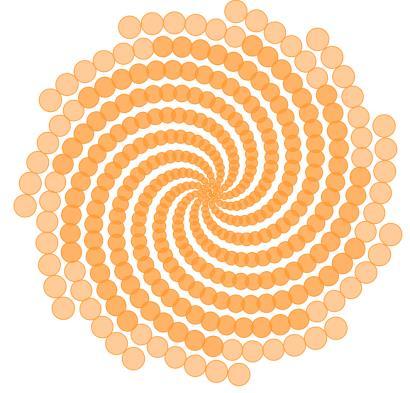 vervolgens een aantal (n) cirkeltjes waarvan de straal groter wordt indien de cirkel verder van het centrum gelegen is.