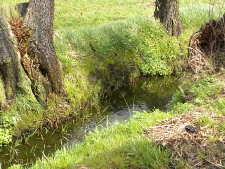 De overgangen tussen beide percelen en naar de achterliggende weide wordt op een natuurlijke manier vormgegeven.