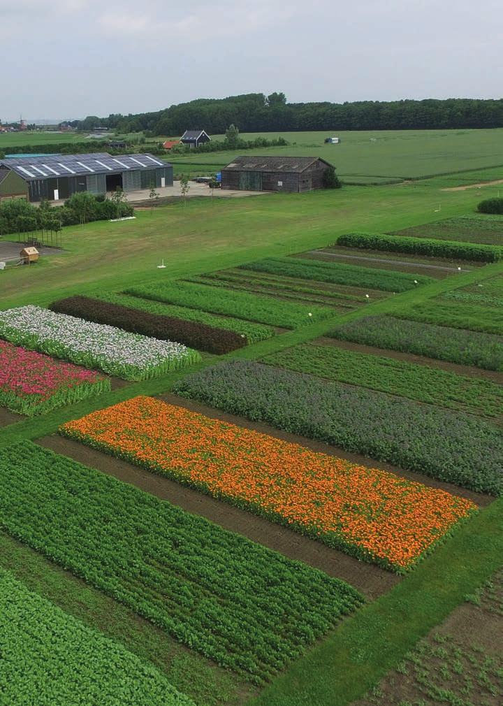 8 Kringloop landbouw is de enige manier om voldoende gezond voedsel te produceren, zonder de aarde verder te belasten.