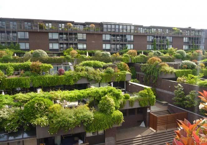 Wat doen wij in het mbo met natuur in de stad? Thematisch behandelen van onderwerpen als: dak- en gevelbegroeiing, vergroening schoolpleinen, stadsparken etc.