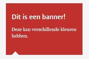 Vul hier de tekst van de banner in en voeg desgewenst elementen als een afbeelding of video toe, of een link naar een pagina buiten de