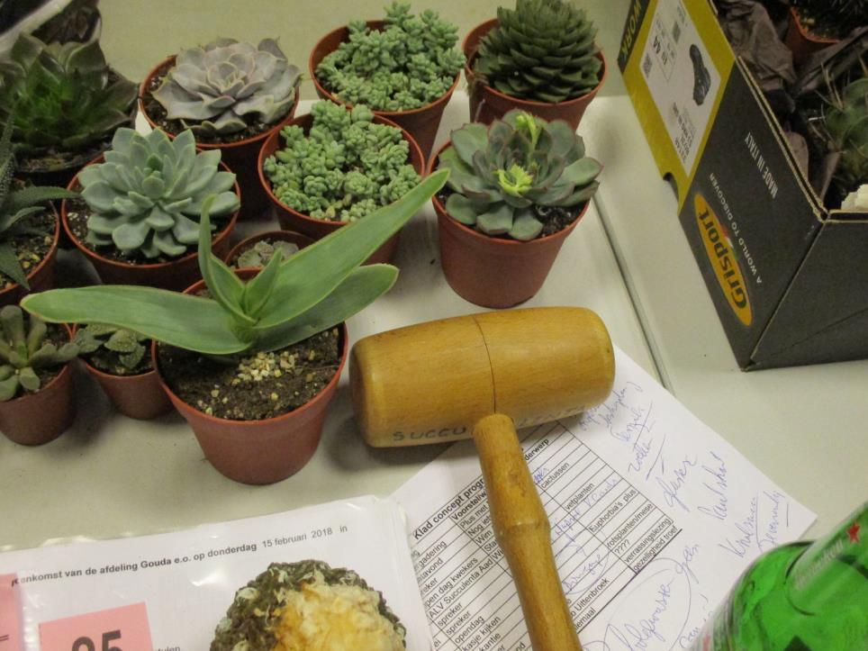 ****** Een ééndagsreis van Grusonia Het is al een hele tijd geleden dat afdeling Gouda en Omstreken in staat was om een bus vol te krijgen voor het maken van een cactusreis naar andere liefhebbers of