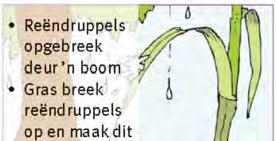 Een enkele stofstorm kan tot soveel as ses ton grond per hektaar wegwaai. Watererosie.