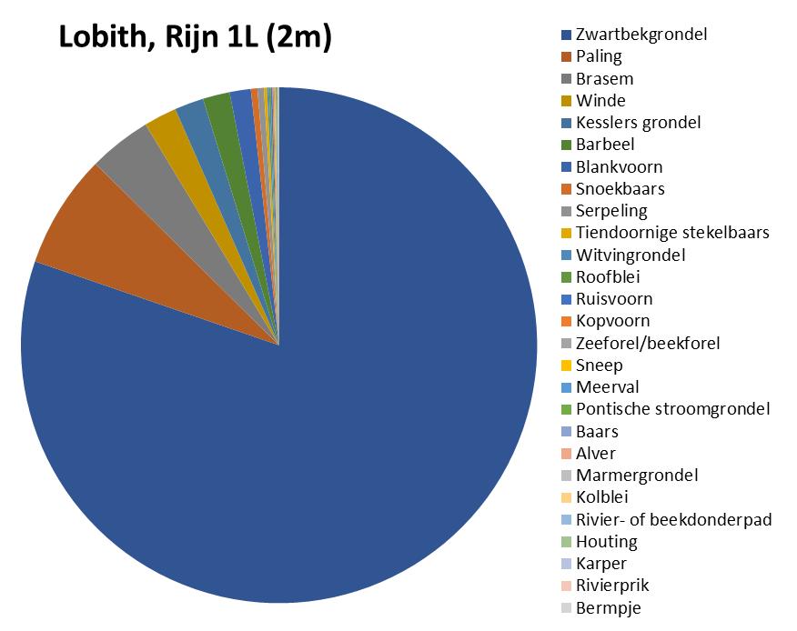 Rijn, Lobith