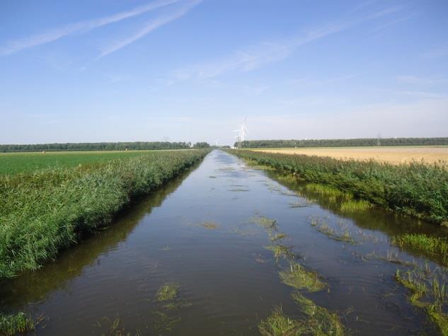 bemonsteringsinspanning (% van de totaal lengte van de waterlopen binnen het betreffende kerngebied).