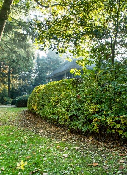 Het gezin geniet er van een tuin van liefst 2.700 vierkante meter. Aan de voorkant bevindt zich een bos dat extra aantrekkelijk wordt door het ontbreken van trottoirs.