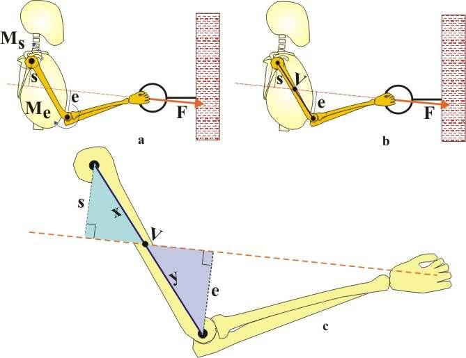Figuur 16a t/m c. Voorbeeld van het bepalen van het verhoudingspunt V indien de werklijn van de kracht F tussen elleboog en schouder doorloopt. Verdere verklaring in de tekst.