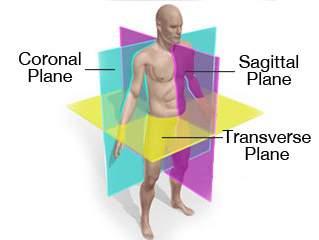 Anatomische bewegingen Sagitaal: flexie/extensie coronaal: